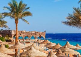 SHARM EL SHEIKH & KAHİRE & İSKENDERİYE TURU TÜRK HAVA YOLLARI İLE 3 GECE