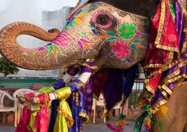 ELEGANT HİNDİSTAN ALTIN ÜÇGEN Türk Hava Yolları ile 5 Gece